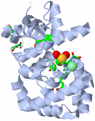 Image Biol. Unit 1 - sites