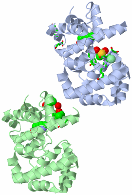 Image Asym. Unit - sites