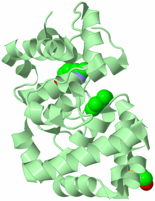 Image Biological Unit 2