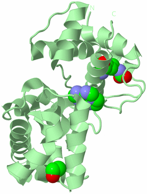 Image Biological Unit 2