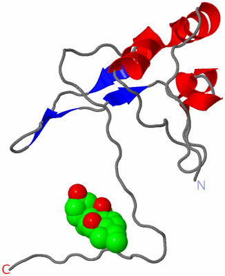 Image Asymmetric Unit