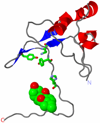 Image Asym. Unit - sites