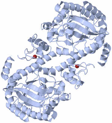 Image Biological Unit 2