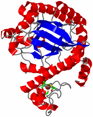 Image Asym. Unit - sites