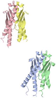 Image Asymmetric Unit