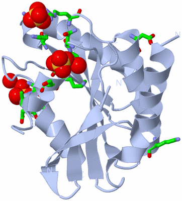 Image Biol. Unit 1 - sites