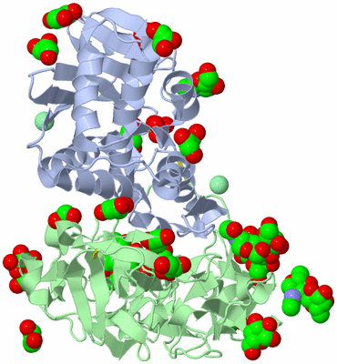 Image Asym./Biol. Unit