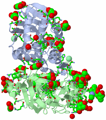 Image Asym./Biol. Unit - sites