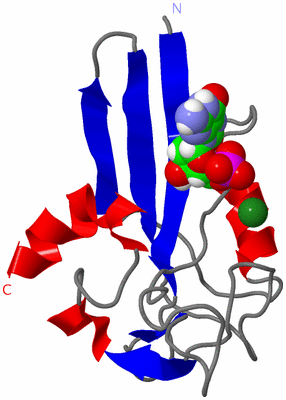 Image NMR Structure - model 1