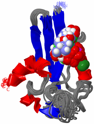 Image NMR Structure - all models