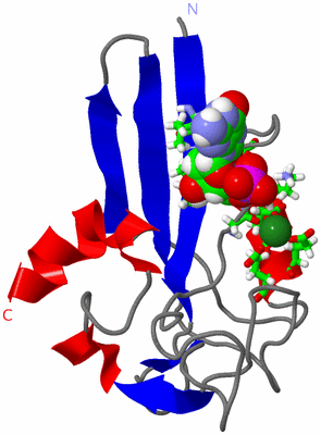 Image NMR Structure - model 1, sites