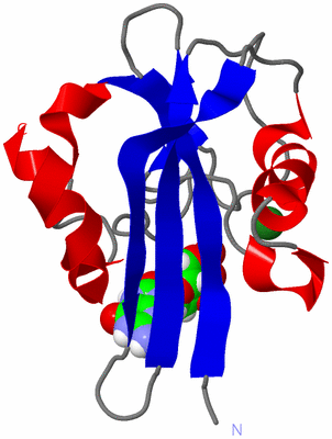 Image NMR Structure - model 1