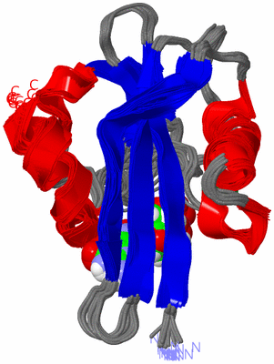 Image NMR Structure - all models