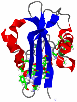 Image NMR Structure - model 1, sites