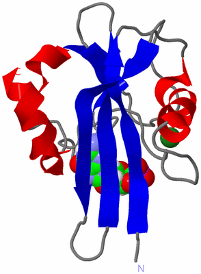 Image NMR Structure - model 1