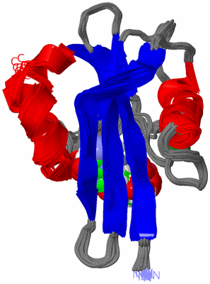 Image NMR Structure - all models