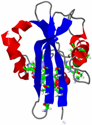 Image NMR Structure - model 1, sites