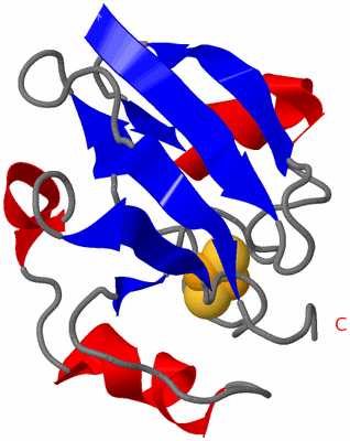 Image NMR Structure - model 1