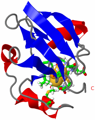 Image NMR Structure - model 1, sites