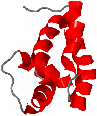 Image NMR Structure - model 1