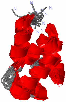 Image NMR Structure - all models