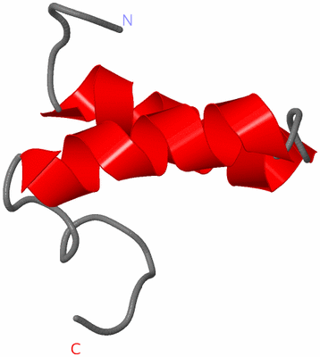 Image NMR Structure - model 1
