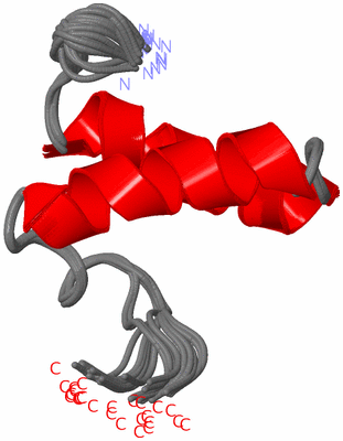 Image NMR Structure - all models