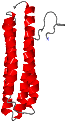 Image NMR Structure - model 1