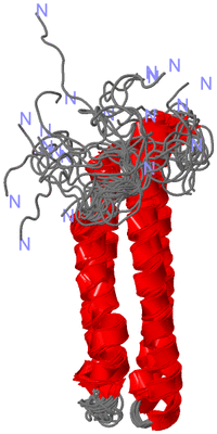 Image NMR Structure - all models