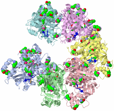 Image Asym./Biol. Unit