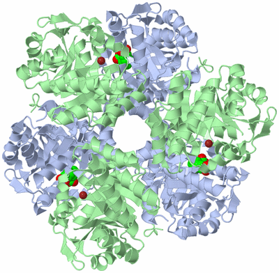 Image Biological Unit 1