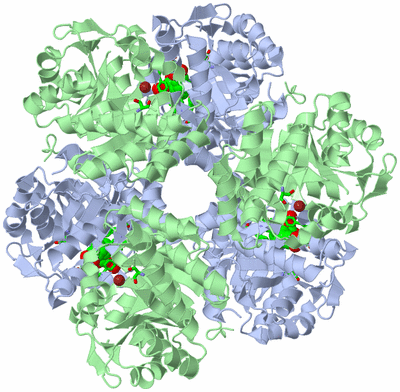 Image Biol. Unit 1 - sites