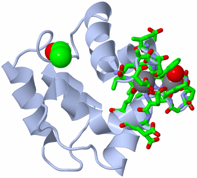 Image Biol. Unit 1 - sites