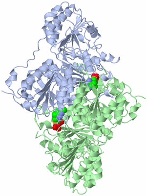 Image Asym./Biol. Unit