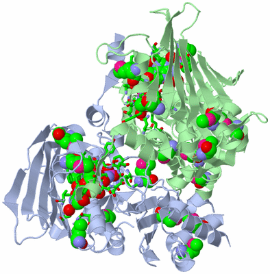 Image Asym./Biol. Unit - sites