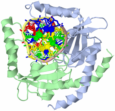 Image Asym./Biol. Unit