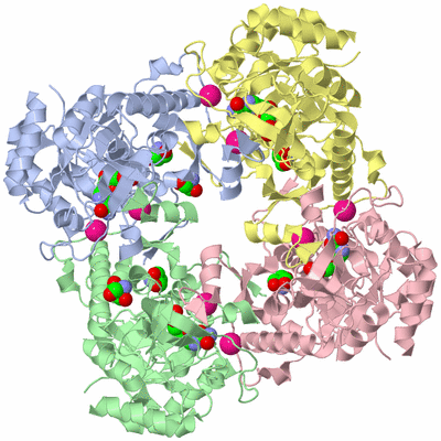 Image Asym./Biol. Unit