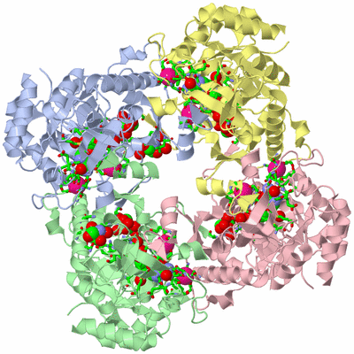 Image Asym./Biol. Unit - sites