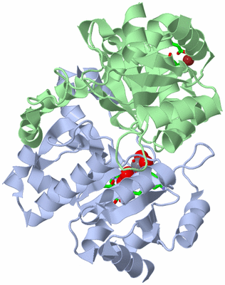 Image Biol. Unit 1 - sites