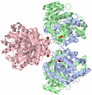 Image Biological Unit 3