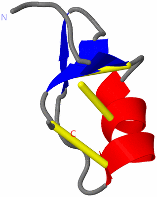 Image NMR Structure - model 1