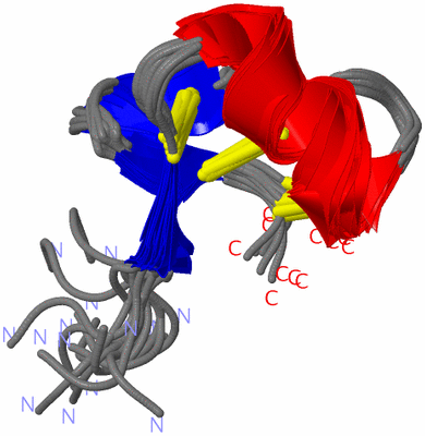 Image NMR Structure - all models