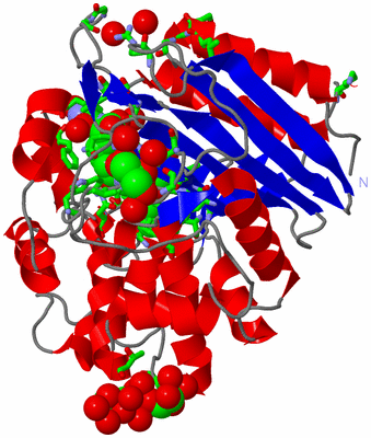 Image Asym./Biol. Unit - sites