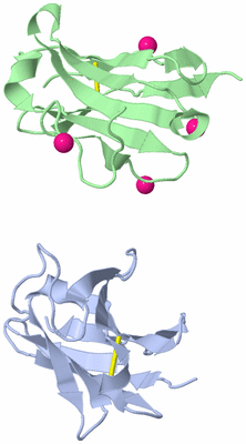 Image Asymmetric Unit
