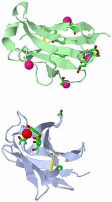 Image Asym. Unit - sites