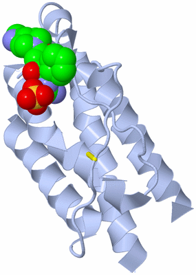 Image Biological Unit 1