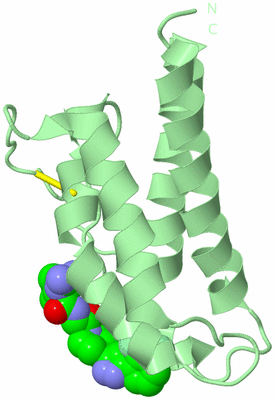 Image Biological Unit 2