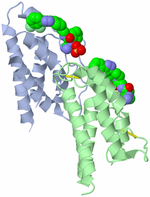 Image Biological Unit 4