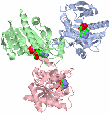 Image Asymmetric Unit