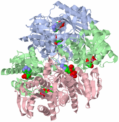 Image Biological Unit 1